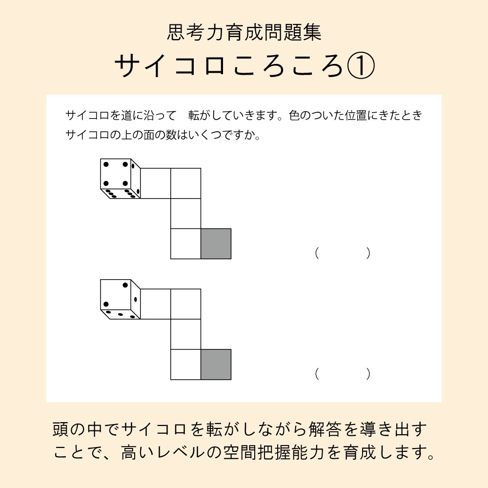 PYGLI 思考力育成問題集Dセット | Giftpad egift