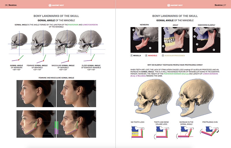 スカルプターのための美術解剖学 2 表情編 | 書籍,その他,デザイン基礎