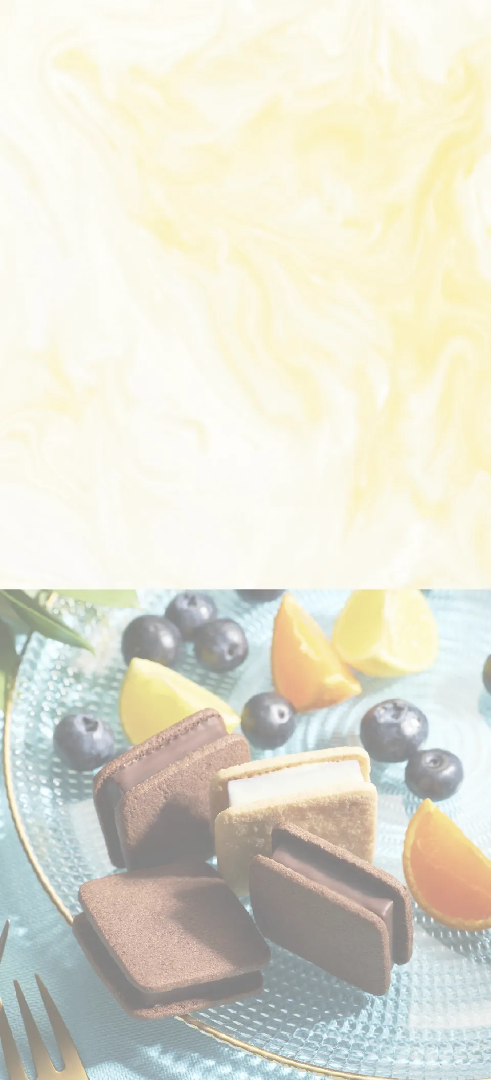 バニラビーンズのSUMMER GIFT 2025 | 横浜チョコレートのバニラ