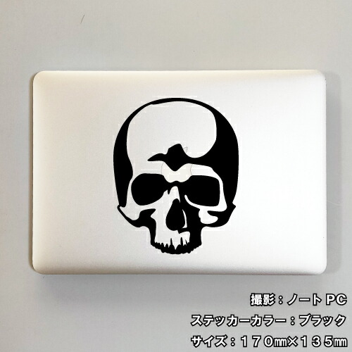 アンティーク1900s スカル 髑髏 骸骨 ポストカード ビンテージ 死神