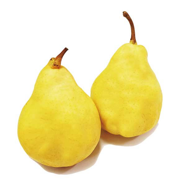 ル・レクチェギフトボックス2kg｜新潟の通販サイト「ガタ市」