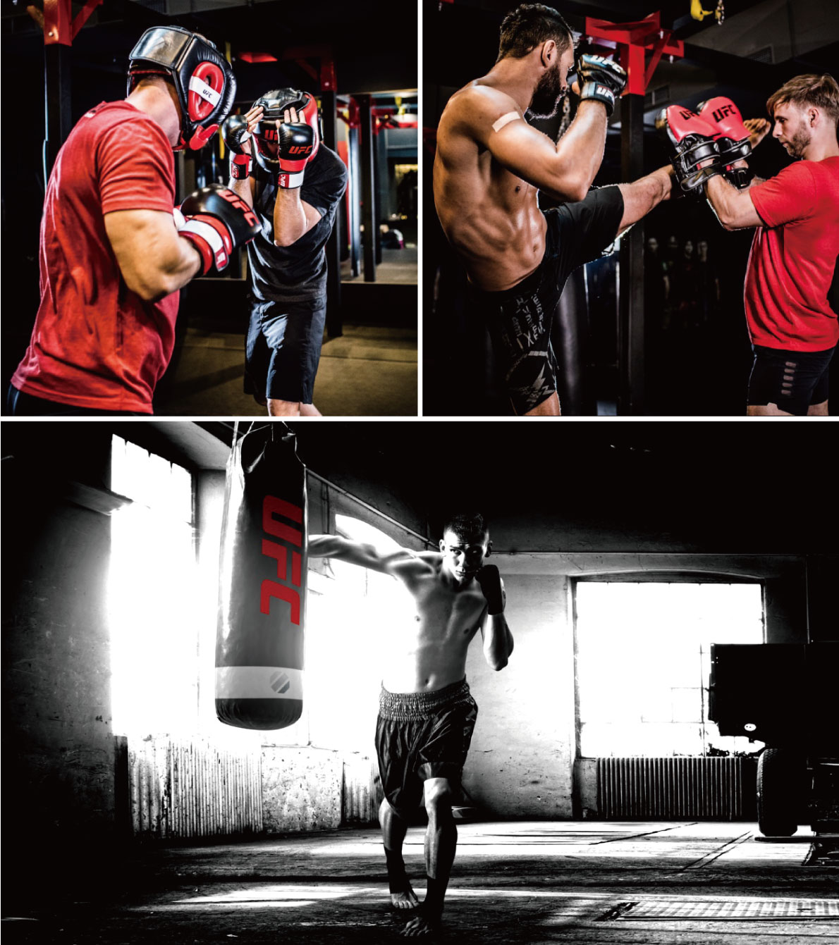 ムエタイパッド・ムエタイガード（UHK-69755）｜キックミット