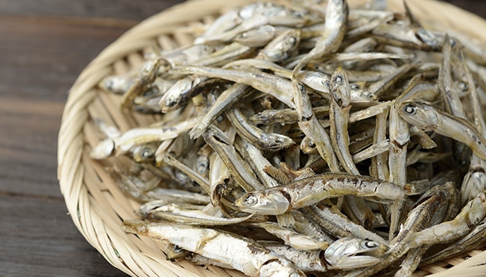 だしとスープのカネソ22 | いわし・煮干しのいろは