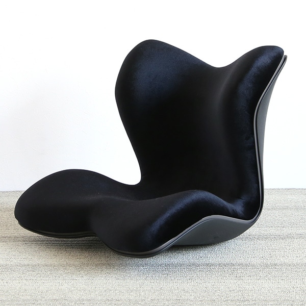 Style PREMIUM DX 椅子の上に置く座椅子 オフィス デスクワーク 姿勢