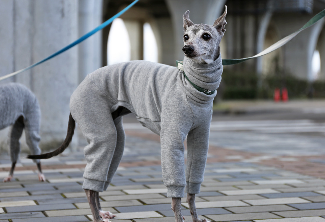 定番スウェットロンパース（グレー）