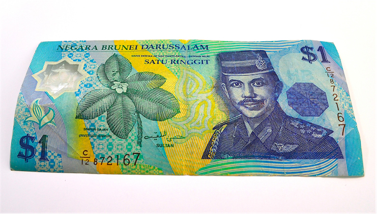 なんだこれ!? シンガポールで買い物をすると見慣れないお札が混じって