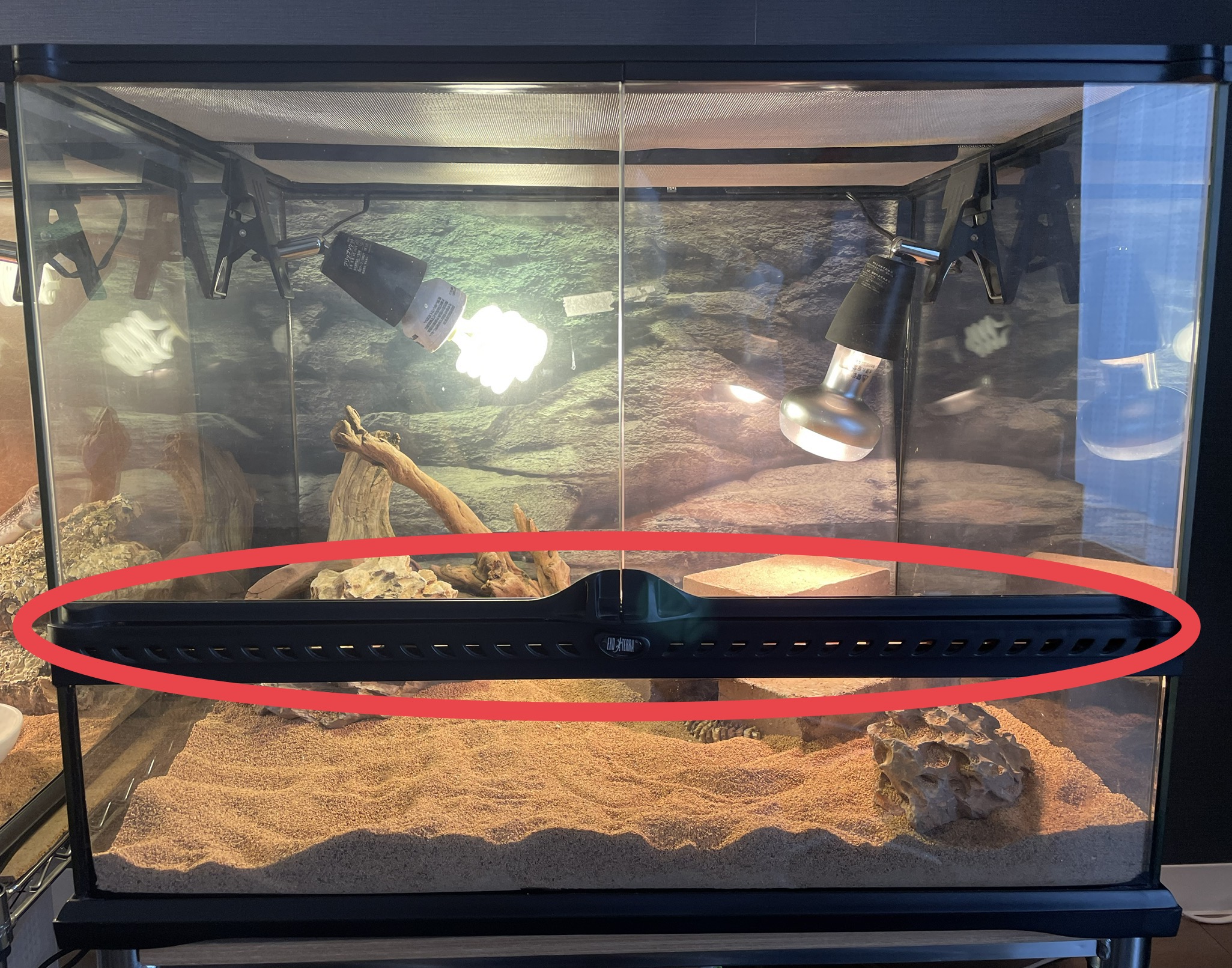 グラステラリウム6045をレビュー】爬虫類を飼うなら最強の飼育ケージ