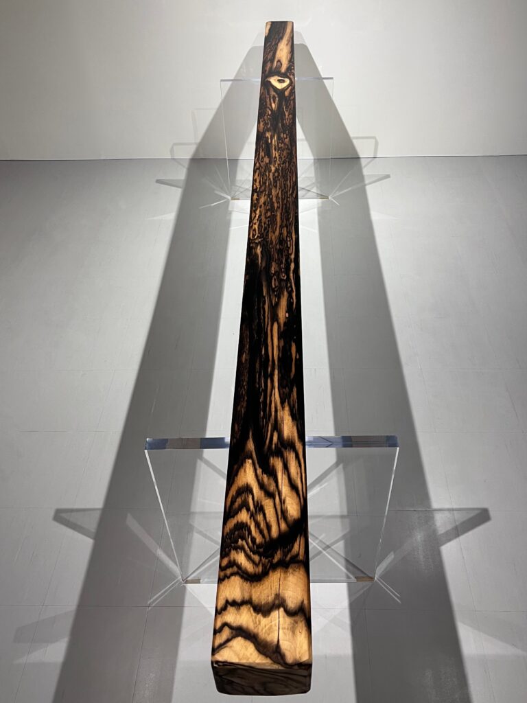 黒柿孔雀杢_床柱003 | GRAXEN JAPAN