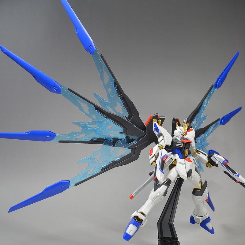 HGCE ストライクフリーダムガンダム 光の翼DXエディション レビュー