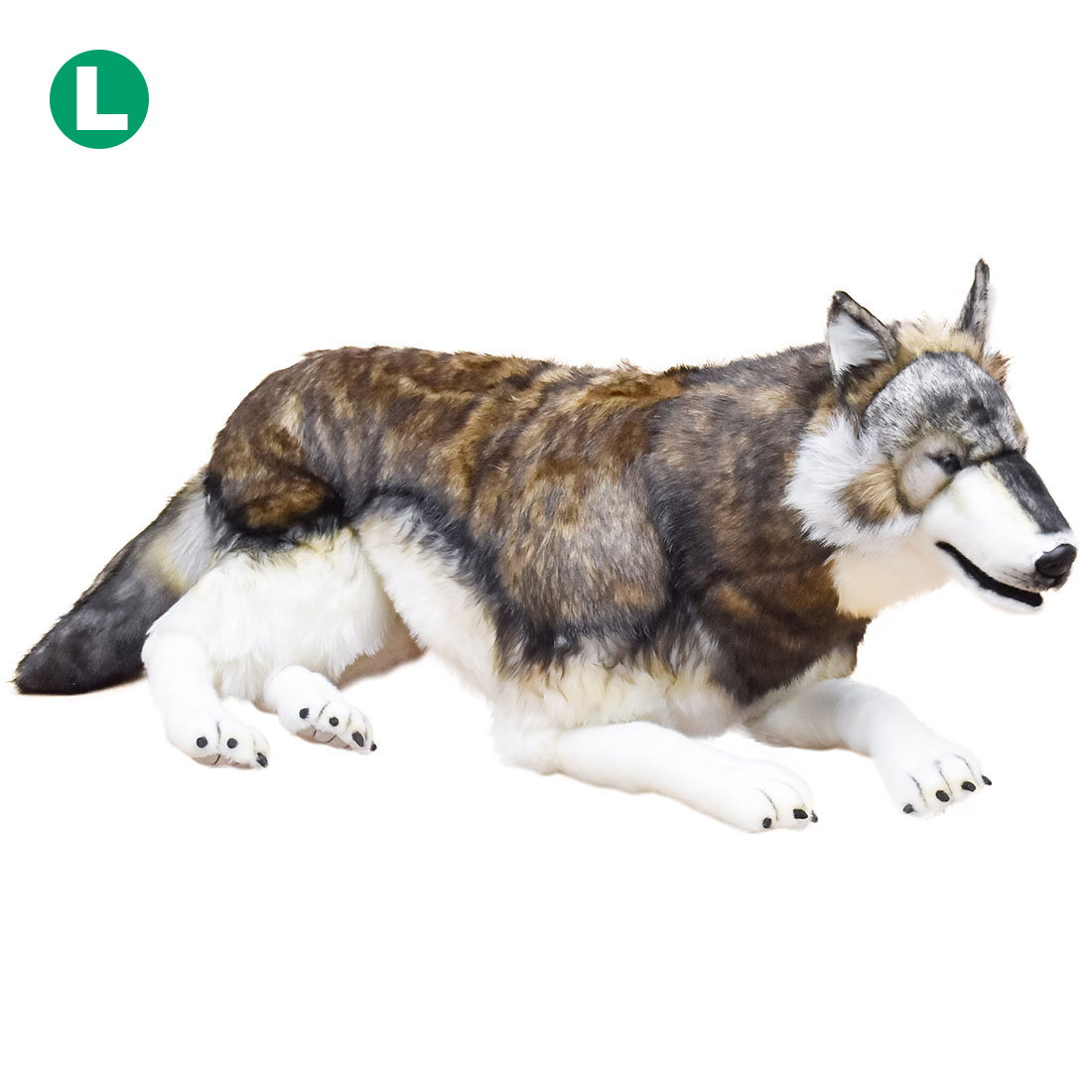 シンリンオオカミ 100 | HANSA