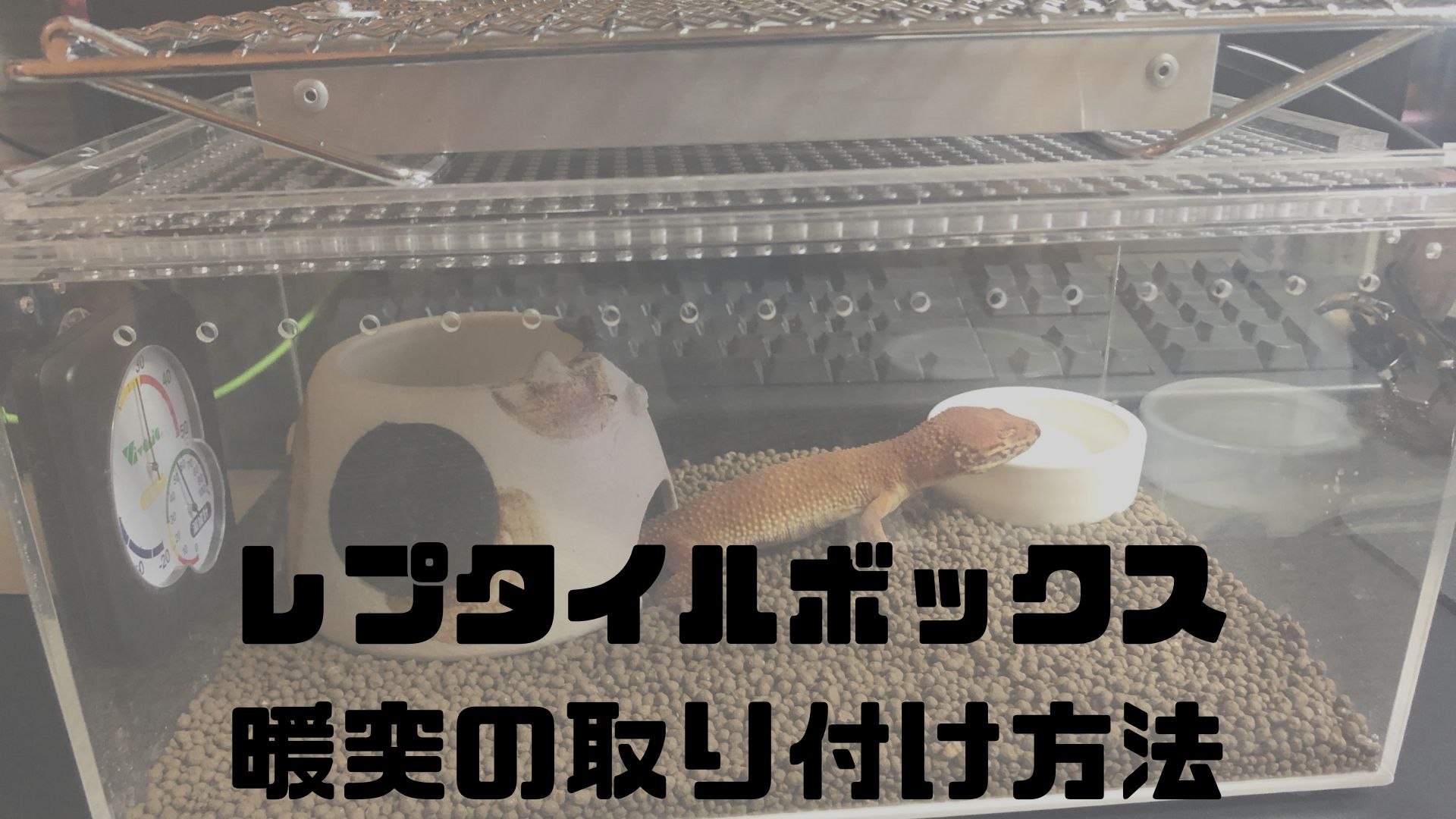 レプタイルボックスの暖突、ヒーティングトップの取り付け方法を考える