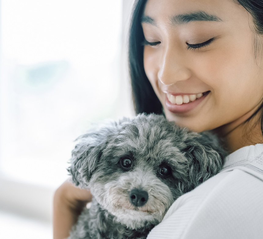 ペット系資格講座一覧｜ヒューマンアカデミー通信講座（旧たのまな）