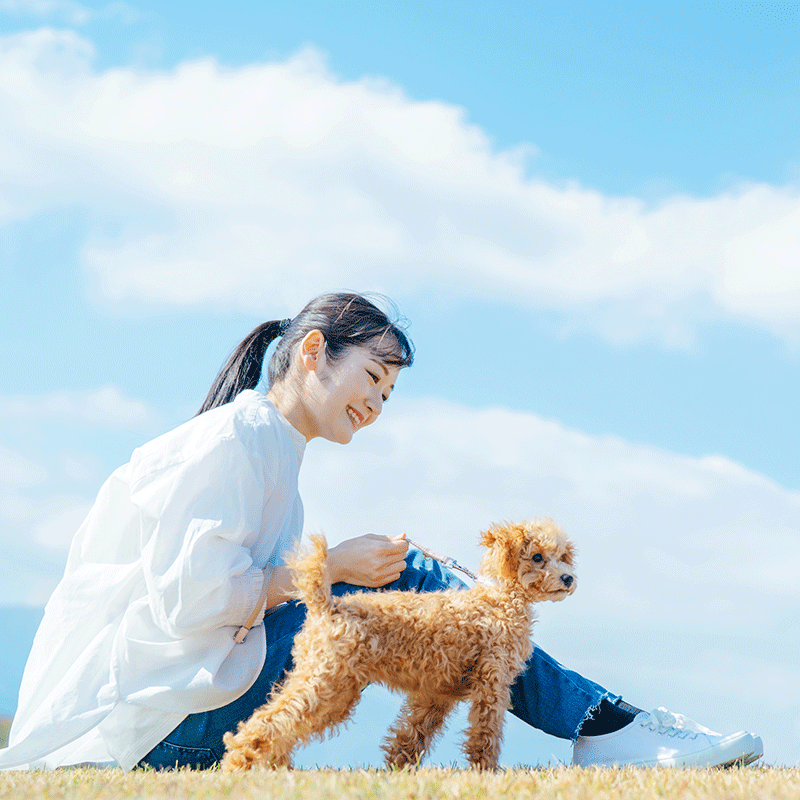 ハサミセット（右利き用）: ペット|ヒューマンアカデミー通信講座（旧