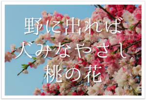 高野素十の有名俳句 20選】ホトトギスの四Sのひとり!!俳句の特徴や人物