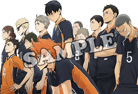 Vol.9 - SEASON2 - Blu-ray/DVD｜アニメ『ハイキュー!!』公式サイト