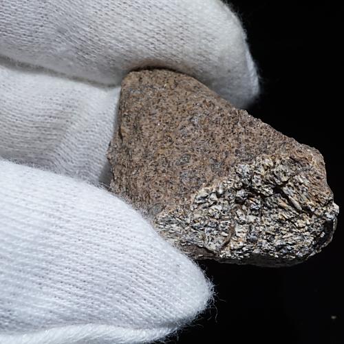 トリケラトプス 骨の化石(約36ミリ)＜天然石 化石 送料無料＞ – 天然石