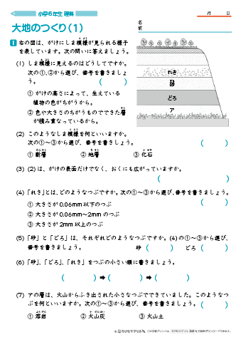 小学6年生 理科 学習問題プリント｜ちびむすドリル【小学生】