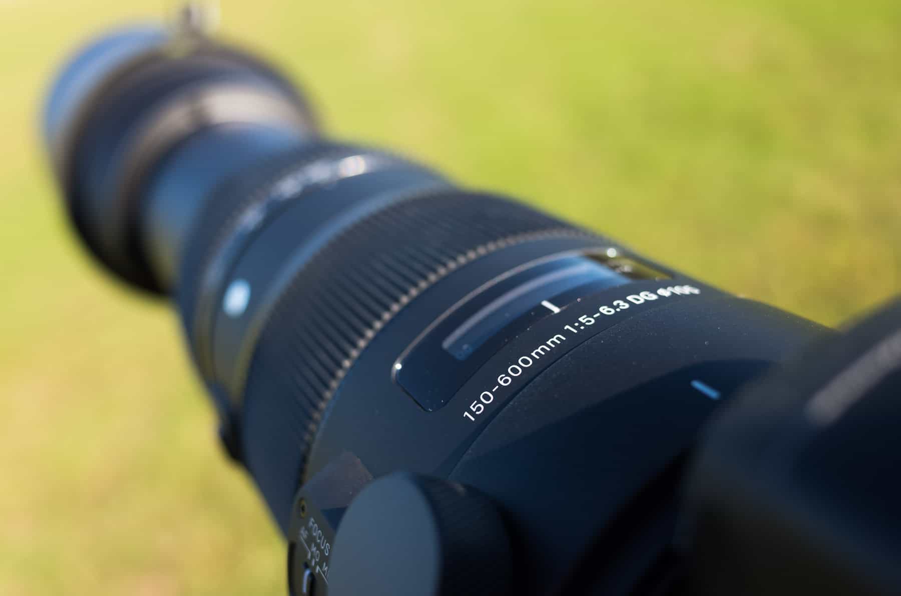 Sigma 150-600mm f5-6.3 DG OS HSM S Test & Review