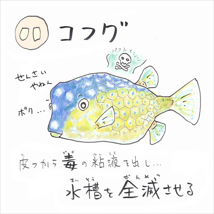 あ・い・う・え・おさかな 【ハ行】のお魚な～に？ | 知って得する