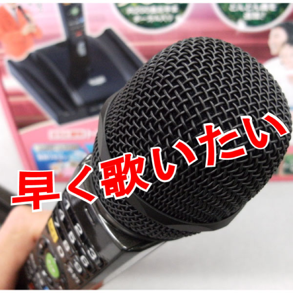 パーソナルカラオケ ワイヤレスカラオケマイク PK-NE02W(H)のハロー