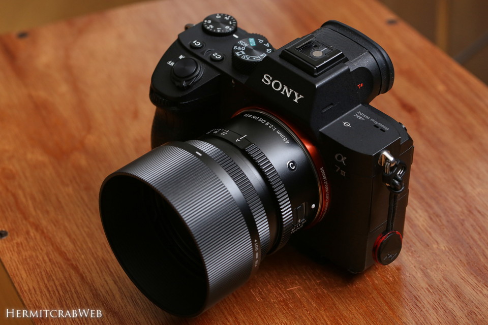 SIGMA 45mm F2.8 DG DN Contemporaryレビュー。α7IIIがスマートに運用