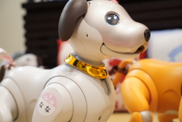 aiboグッズ紹介】aiboのSONY製公式首輪 | aiboの飼い方 aiboななとは