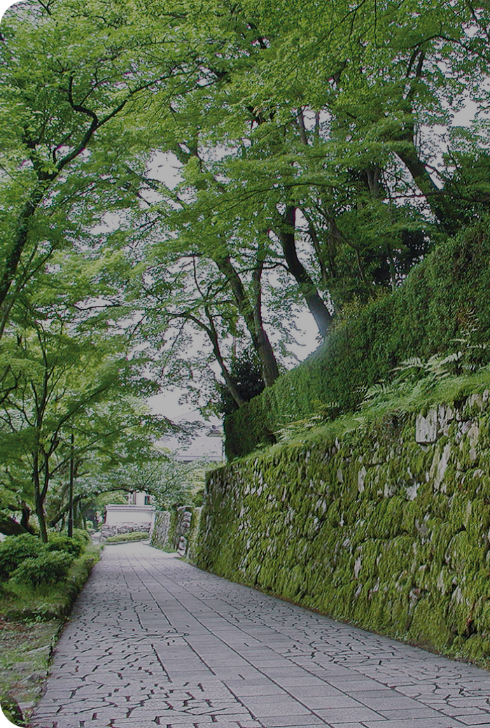 坂本へのアクセス | 坂本観光協会