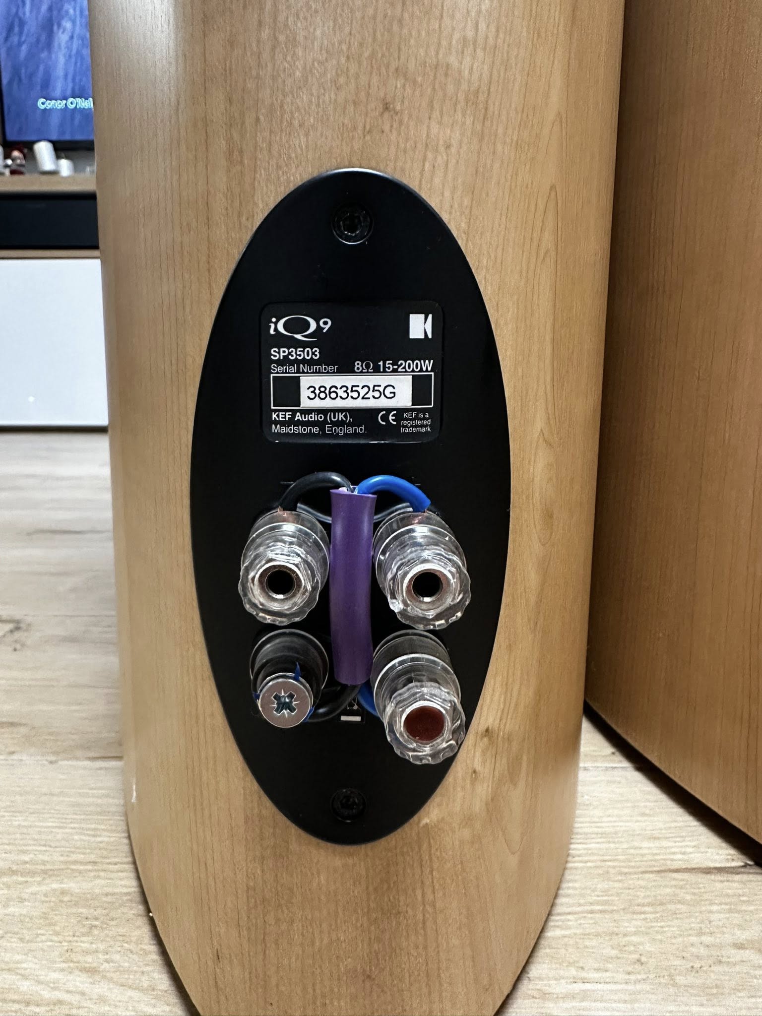 KEF iQ9 | hifi-wiki.com