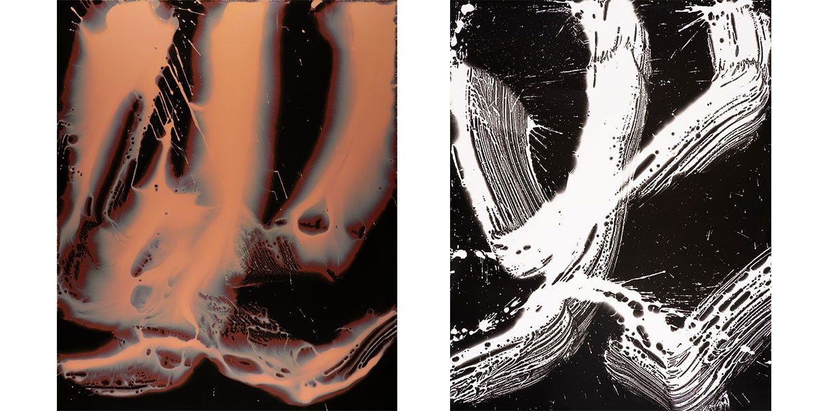 日々是口実」なアート。杉本博司《カリフォルニア・コンドル》公開