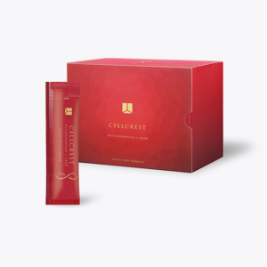 ヒストリーメーカージャパン公式オンラインショップ