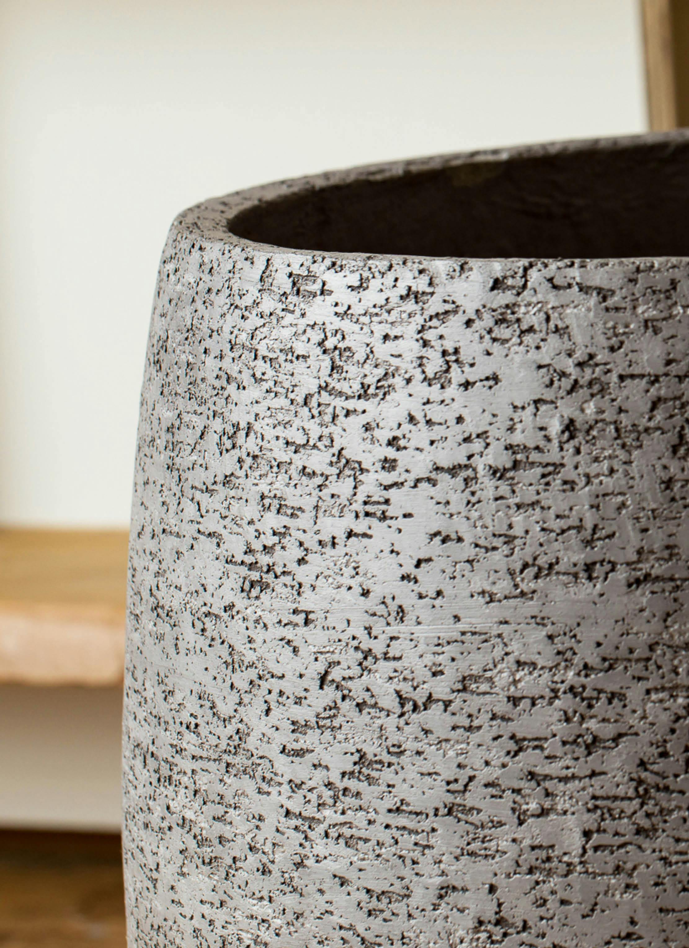 高級鉢カバー付き】大型エバーフレッシュ 観葉植物 引き取り可能