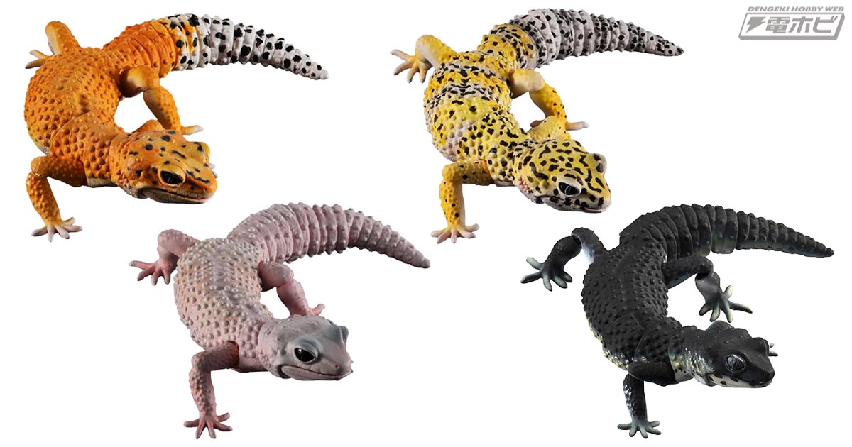 いきもの大図鑑」のハイグレードシリーズから「ヒョウモントカゲモドキ