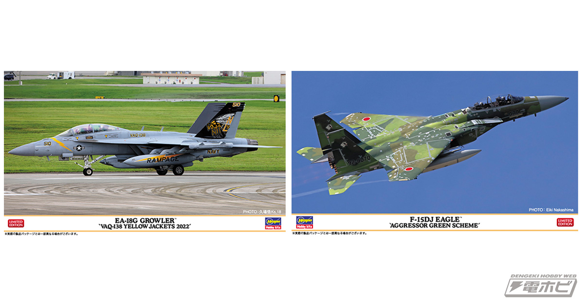 米軍「EA-18G グラウラー」のイエロージャケッツのCAG機とグリーン