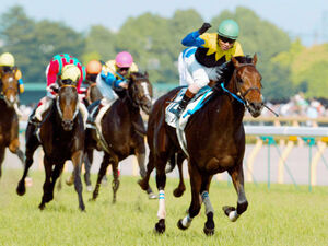 16頭のGⅠ馬の父・キングカメハメハが殿堂入り！史上初の変則2冠