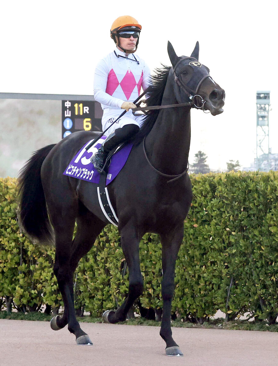 ホープフルS】ピコチャンブラックは道中3番手からずるずると馬群に