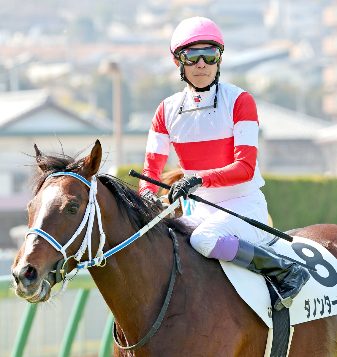 武豊騎手が阪神8Rで史上初のJRA通算2万5000回騎乗を達成