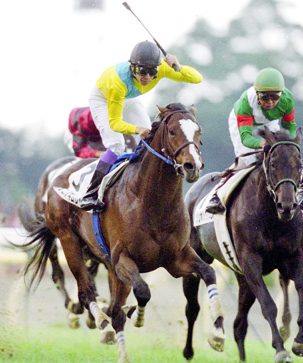 ダービー馬タニノギムレットが種牡馬引退 今年は4頭に種付け