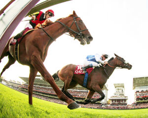 凱旋門賞】オルフェーヴルで2着2回”歴史の重みを誰よりも知る調教師