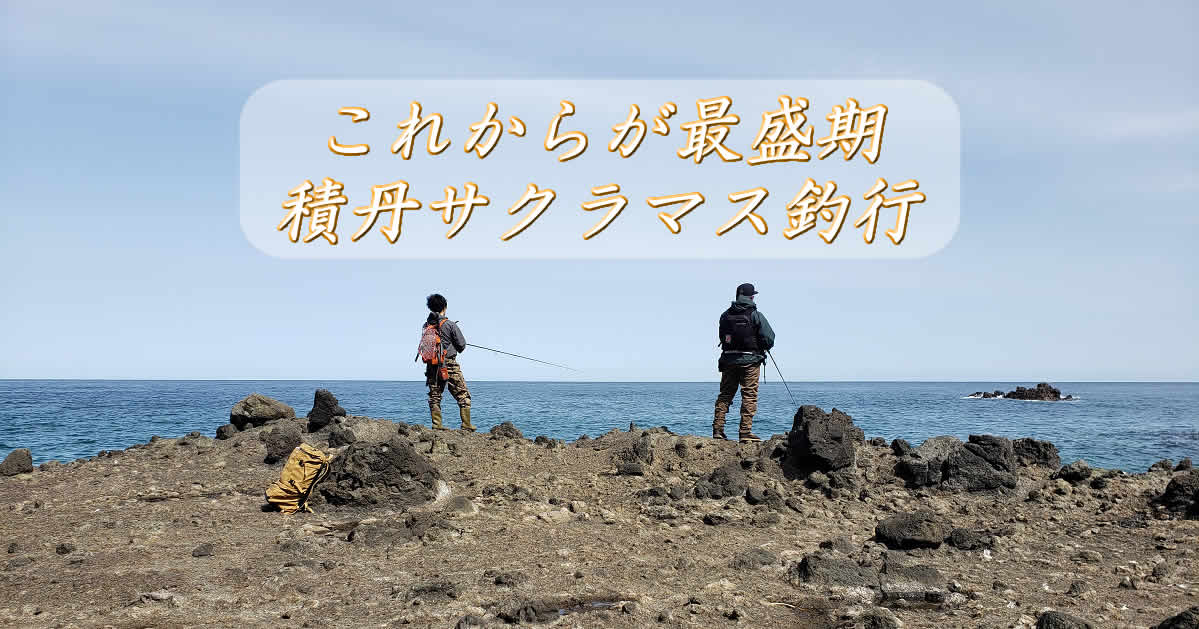 今年初の積丹サクラマス釣行 | Sakkanの釣りブログ