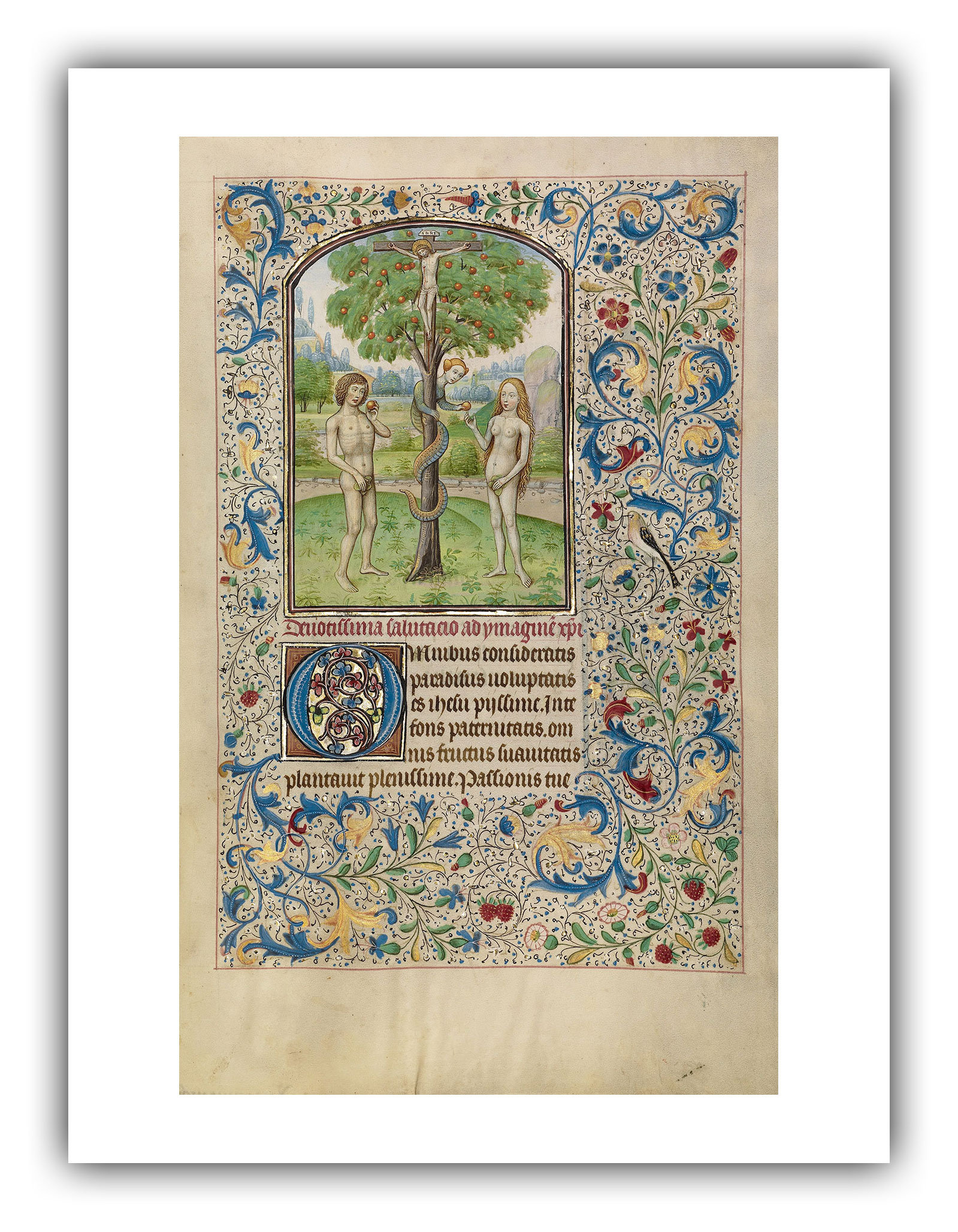 Willem Vrelant Illumination : Adam and Eve Eating the Forbidden