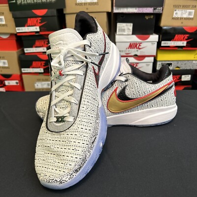 Men's Nike Lebron XX 20 'The Debut' Basketball Shoes DJ5423-100