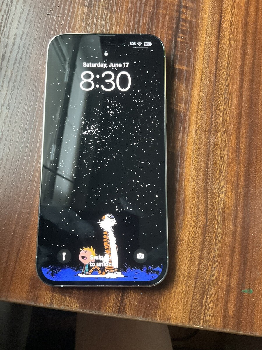 Apple iPhone 13 Pro Max - 128 GB - Silver (Sprint) for sale online