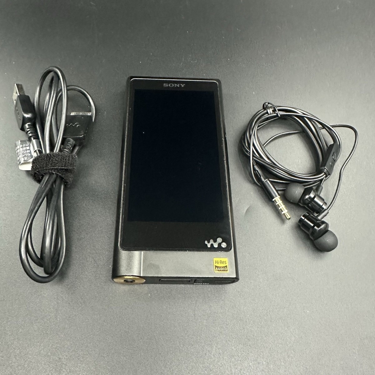 SONY NW-ZX2 Hi-Res Walkman Portable Audio Player Tested Working | eBay