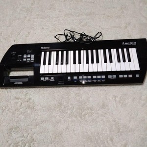 Roland Ax 09 Lucina | eBay