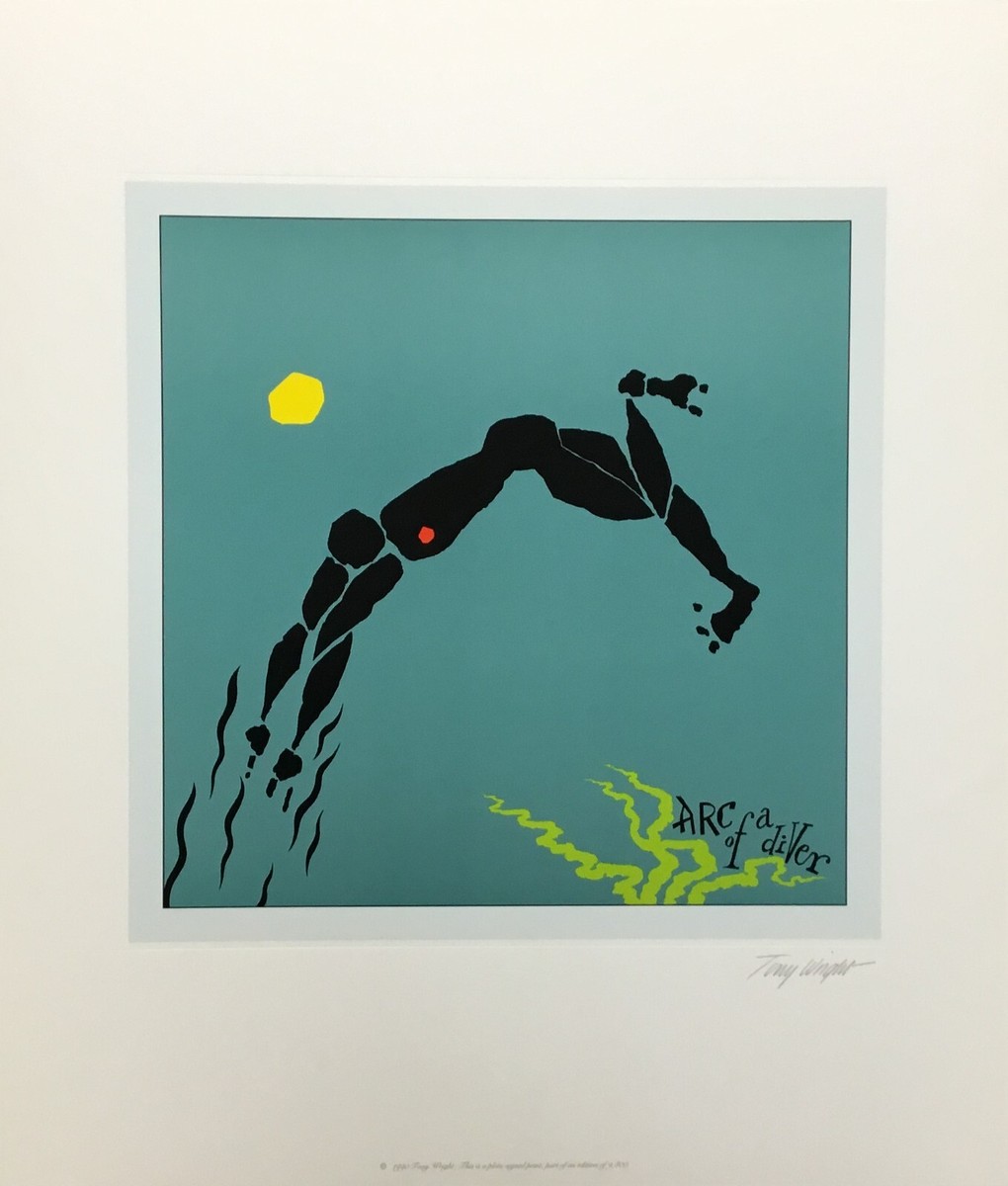 Steve Winwood Arc Of A Diver Album Cover Art L/ED Signed By Tony