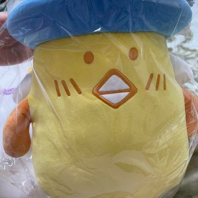 ASTRO ROROHA 30cm big plush toy YOON SAN-HA PPUPPU official goods