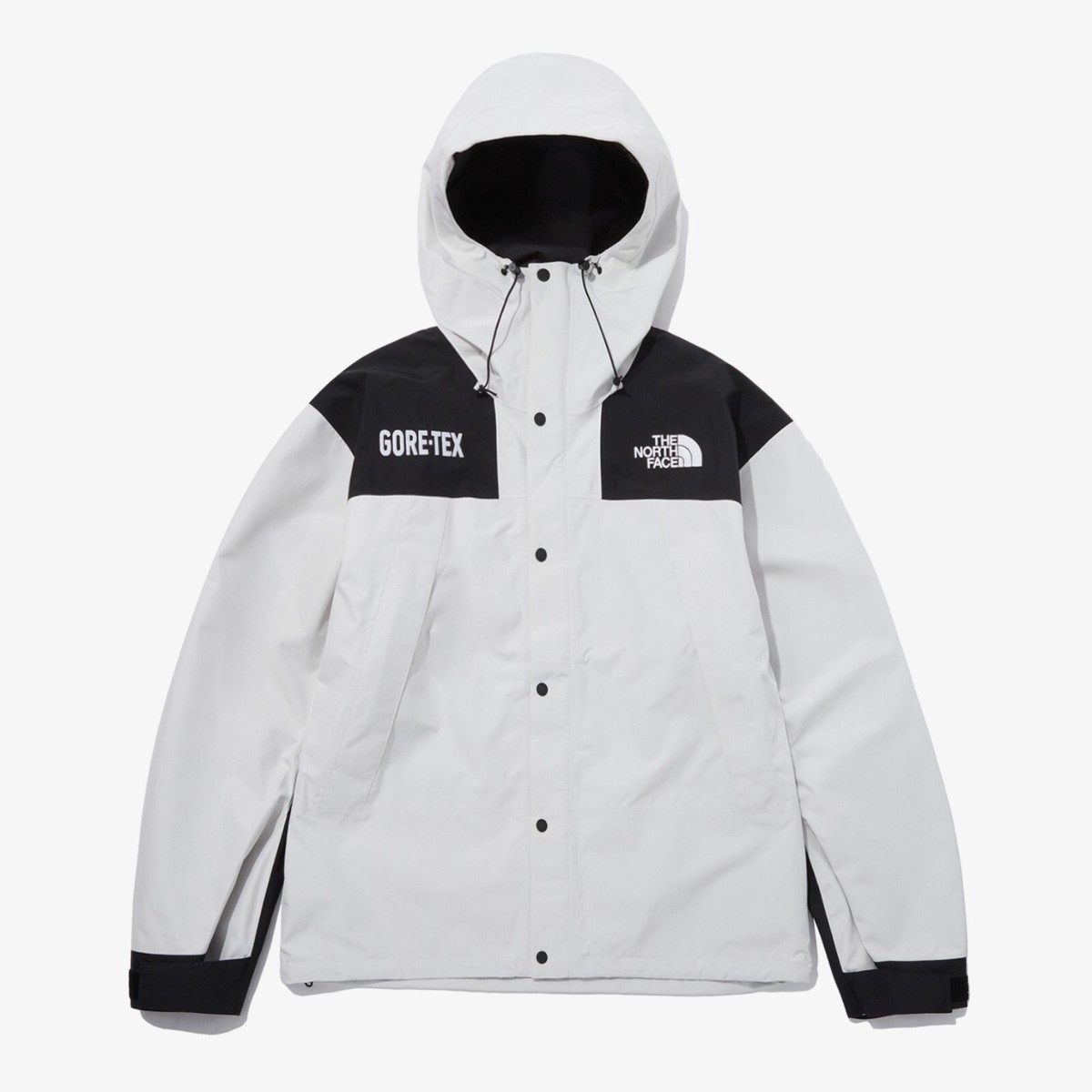The North Face Korea GTX GORE-TEX MTN JACKET NJ2GP70C WHITE ASIAN