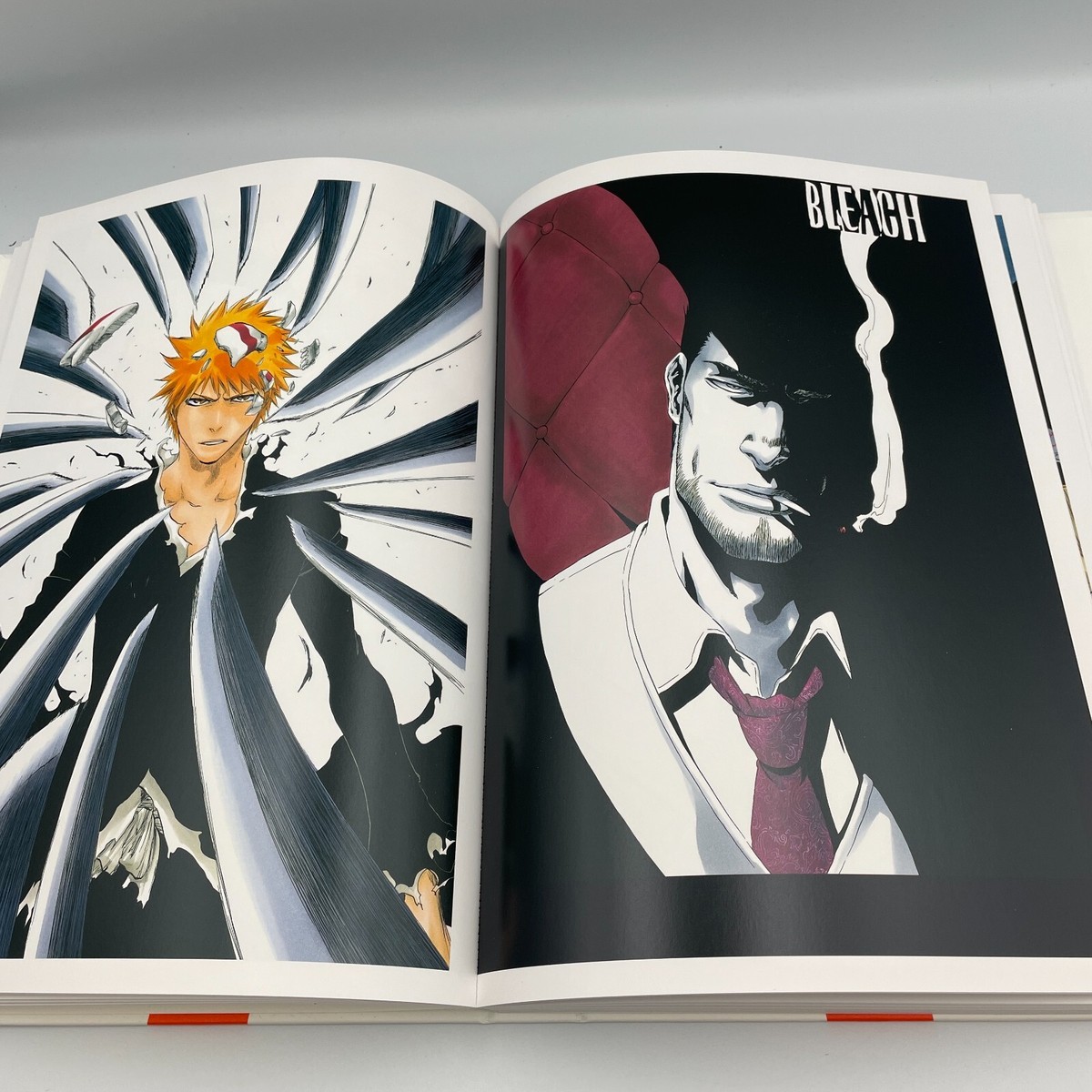BLEACH Illustration Collection JET Art Book Case Limited Edition