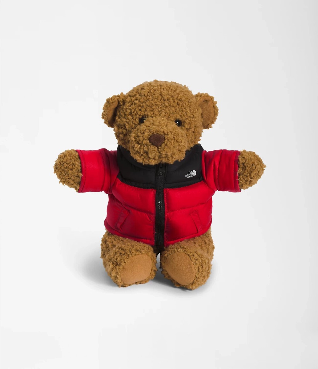 The North Face Nuptse Teddy Bear - Red - Limited Edition | eBay