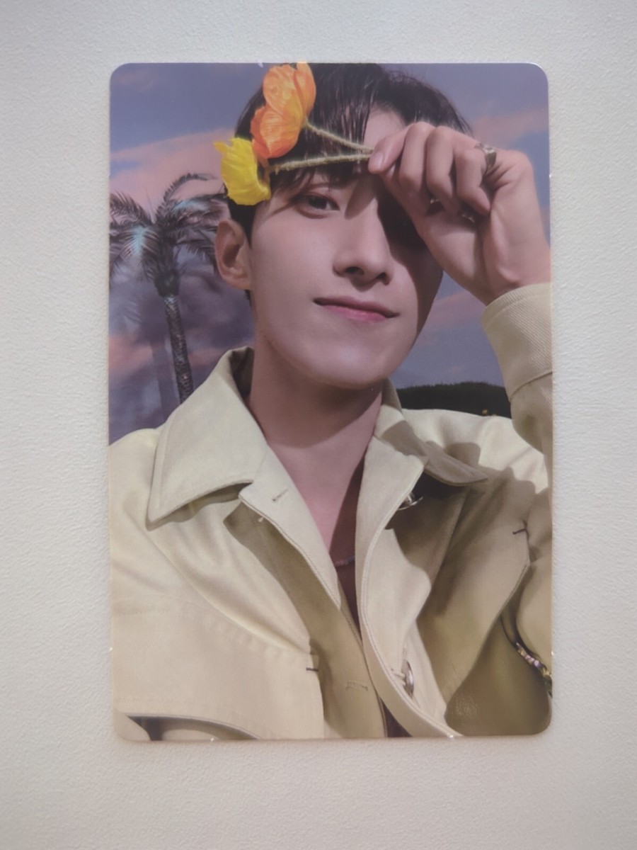 SEVENTEEN Sector 17, 4th Album Repackage DK Photocard [A5] | eBay